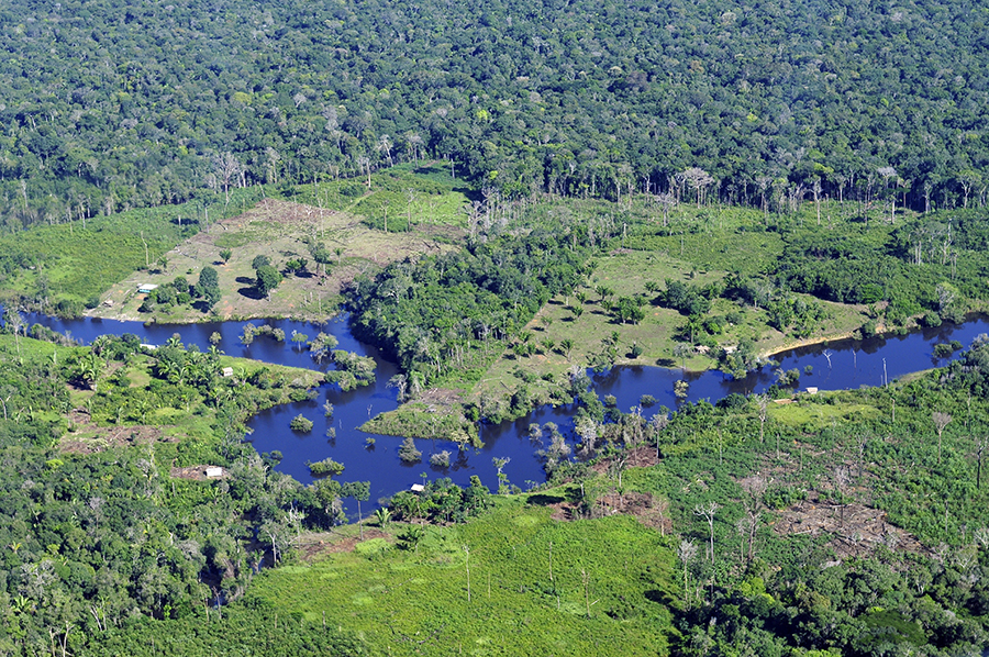 CIAT leads a project to reduce deforestation in the Peruvian Amazon